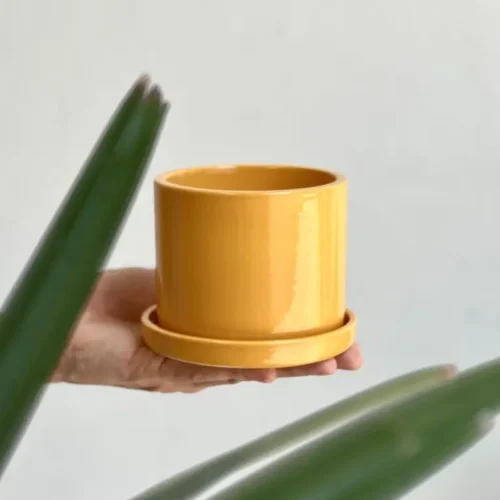 Maceta cilindro chico c/ plato